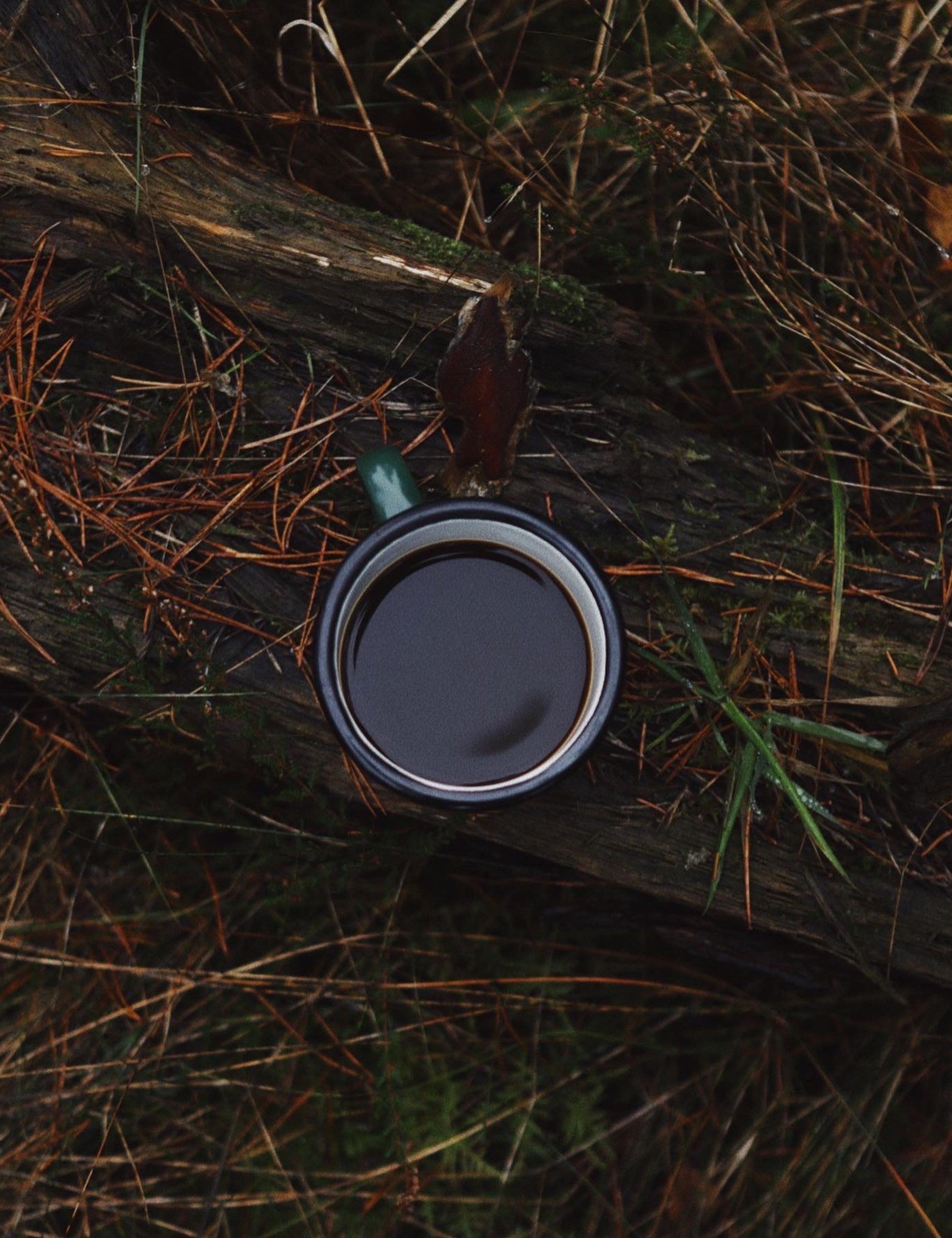 BEAN ENAMEL MUG - DARK GREEN